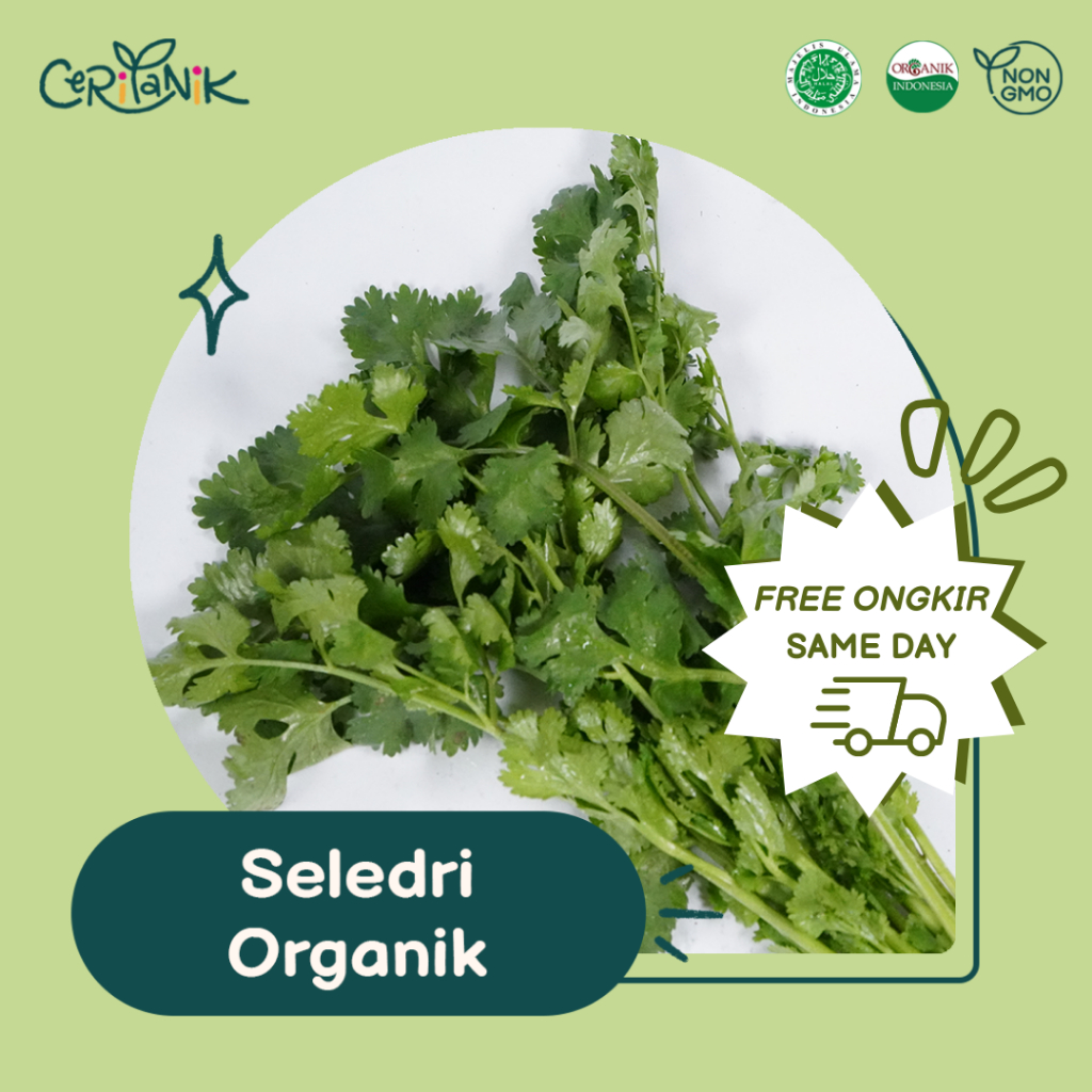

Seledri Organik 200 gram - Ceritanik - Celery Organic - Sayur Organik Murah - Sayur Organik Sehat - Sayur Organik Premium