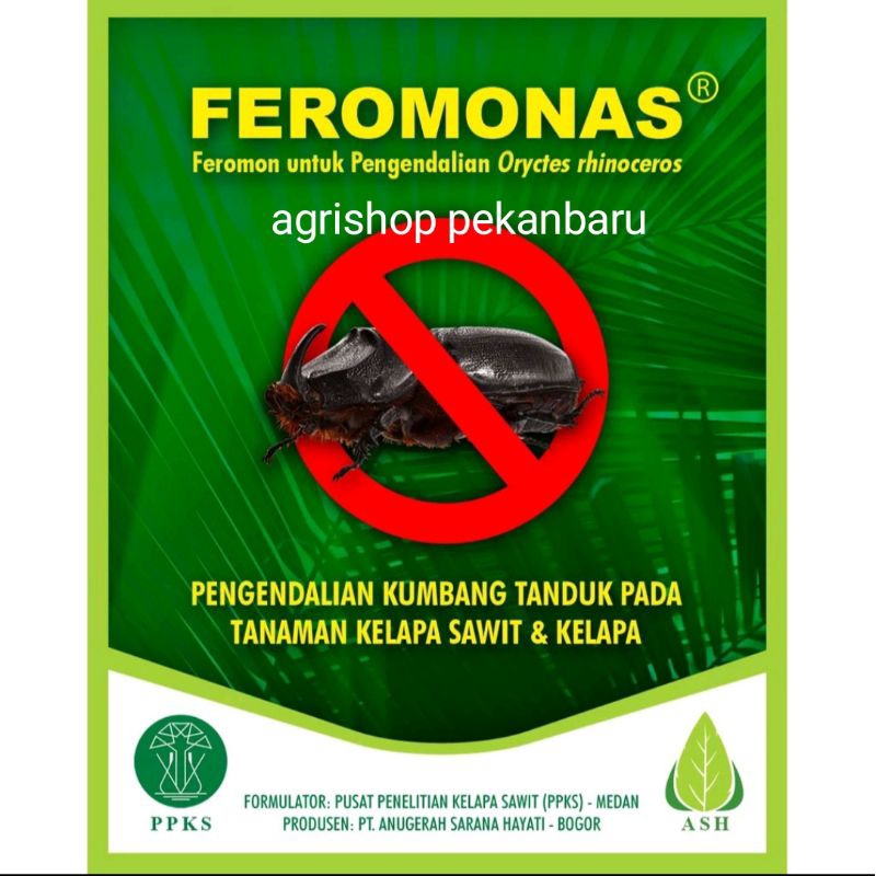 Feromonas pengendali kumbang tanduk