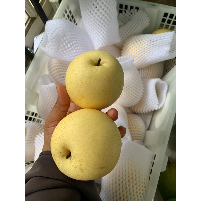 

pir madu _ pear madu