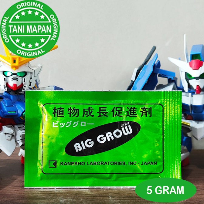 

[✤A64➤] ZPT - BIG GROW 5 gram - GA3 Promo Semangat