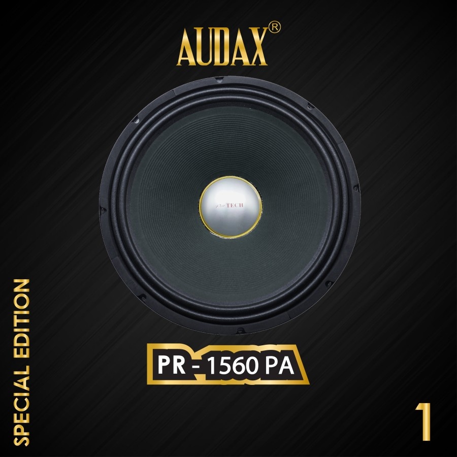 Speaker AUDAX 15" / 15 inch ProTech PR 1560 PA Full Range Bass Middle Outdoor Luar Ruangan