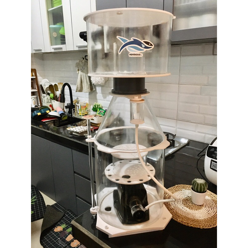 Skimmer Protein AL5000-5500 - marine skimmer - skimmer kepiting - skimmer crab - skimmer protein kep