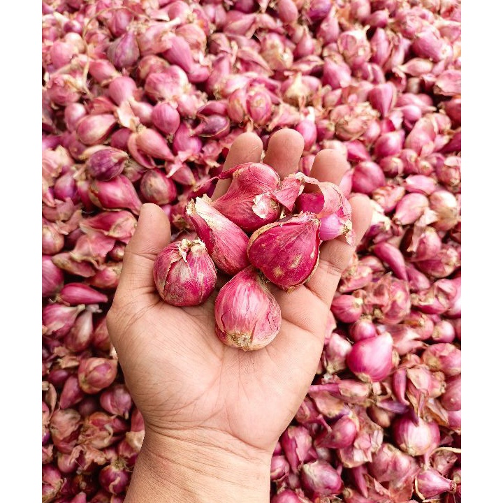 

[KODE EAFOR] Bawang merah 500gr