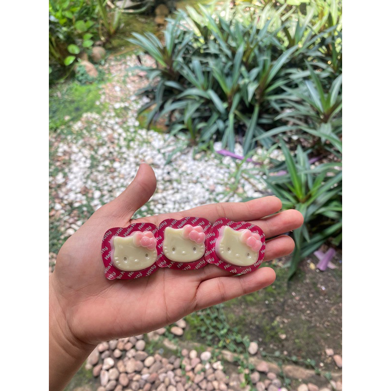 

hello kitty chocolate / bento / lunch box