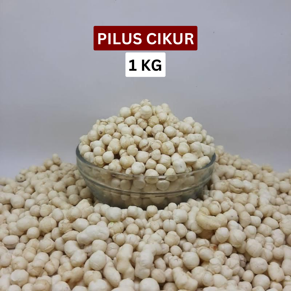 

Pilus Cikur Kencur 1kg Renyah, Tidak Keras, Toping Seblak Cuanki Bakso Aci