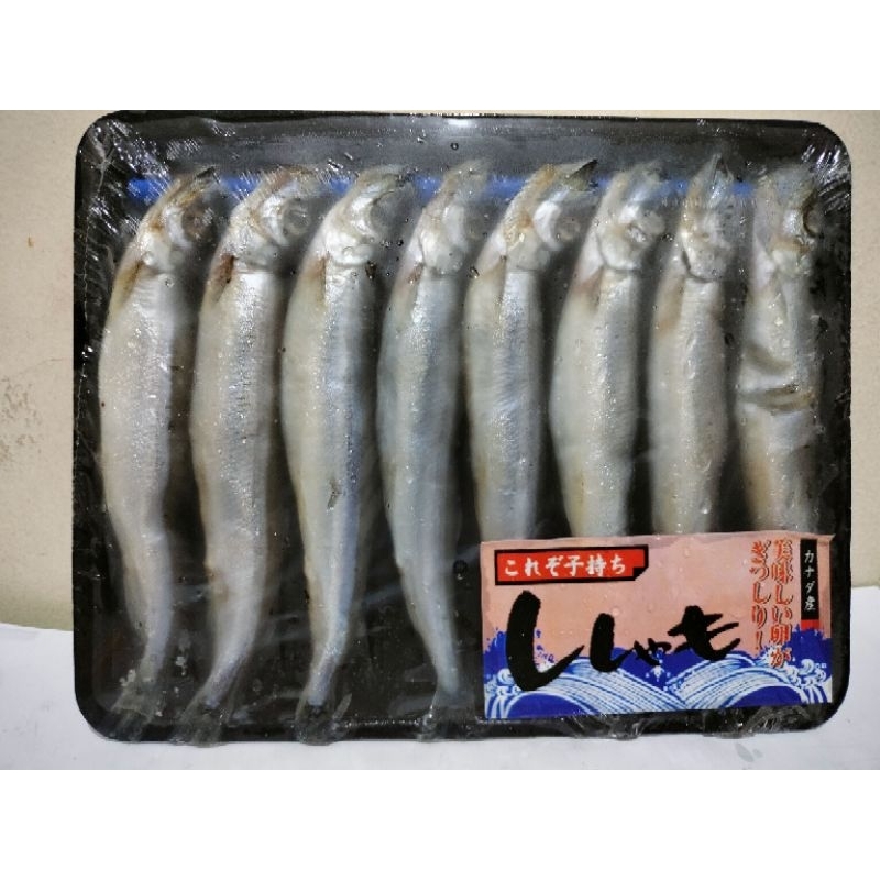 

ikan shisamo/capelin telur