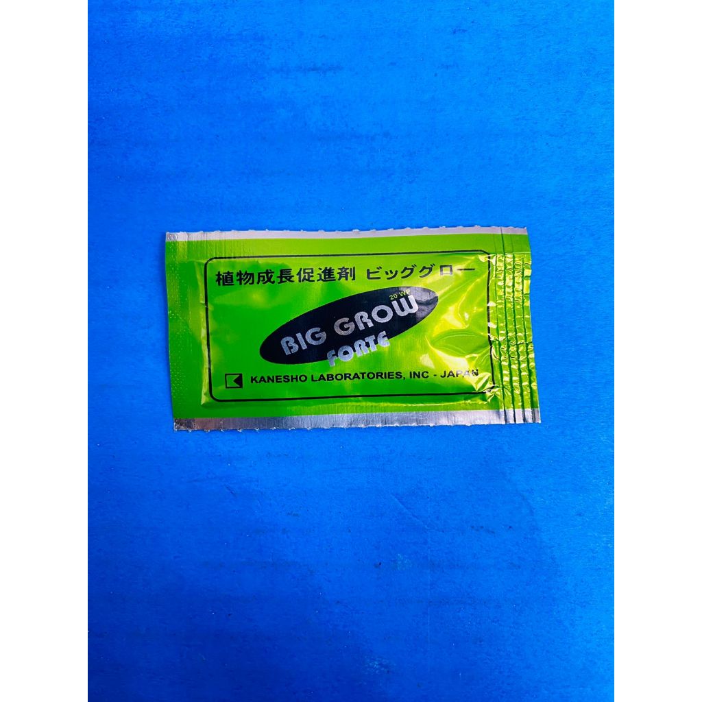BIG GROW FORTE 20WP isi 1gram