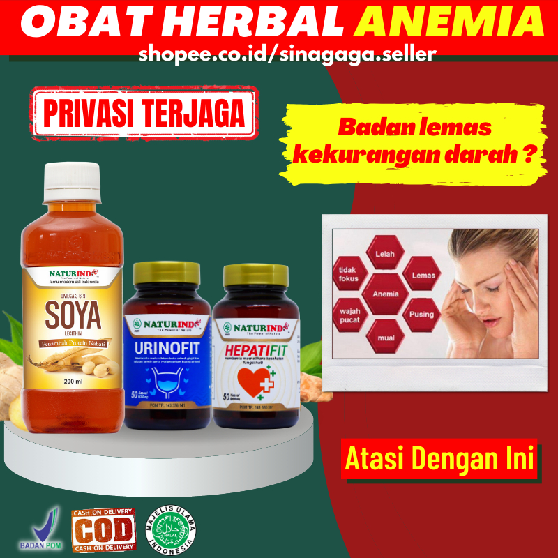 Paket Obat Herbal Sakit Kepala Anemia Kurang Darah Lemah Letih Lesu Pingsan Vitamin Penambah Darah P