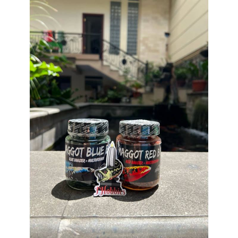 MAGGOT RED dan BLUE BOS BOS QU GRADE A+ FREE STIKER ( NEW FORMULA) 30 GRAM