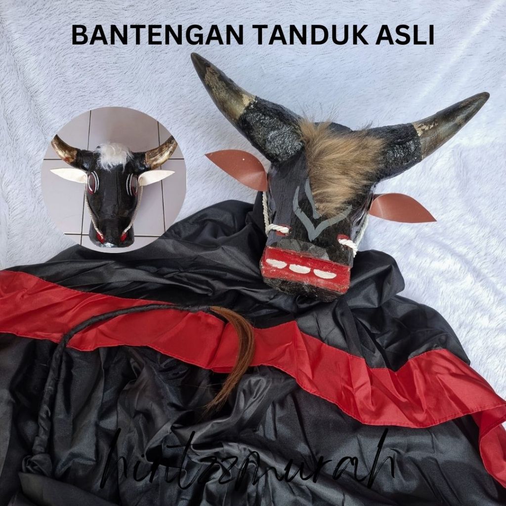 Bantengan Tanduk Asli Kemul Panjang Ada Ekor Bantengan Sungut Sapi Jaranan Caplokan Banteng Kayu Pen