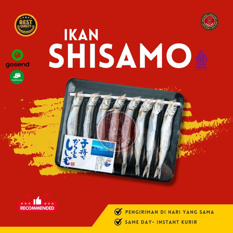 

Ikan Shisamo/Ikan Telur | Shisamo Fish | Ikan Capelin Fresh | Ikan Shisamo Jepang | Ikan Laut Segar | Ikan Laut Viral Kesukaan Cipung | Ikan Shisamo Fresh | Seafood Premium | Makanan Laut Segar