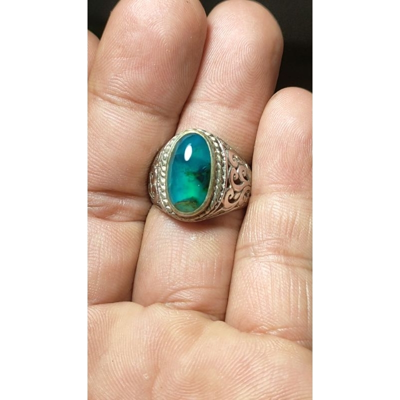 Bacan doko gulau coklat giwang