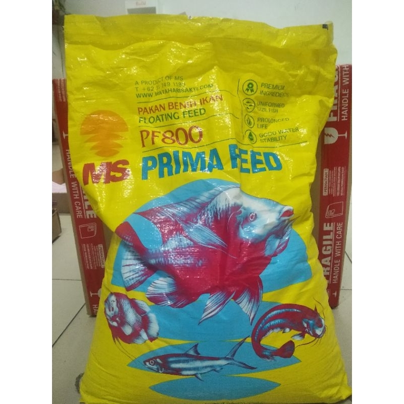 Pelet pf800 Repack 500gr | pelet ikan cupang moly Guppy bibit gurame bibit lele