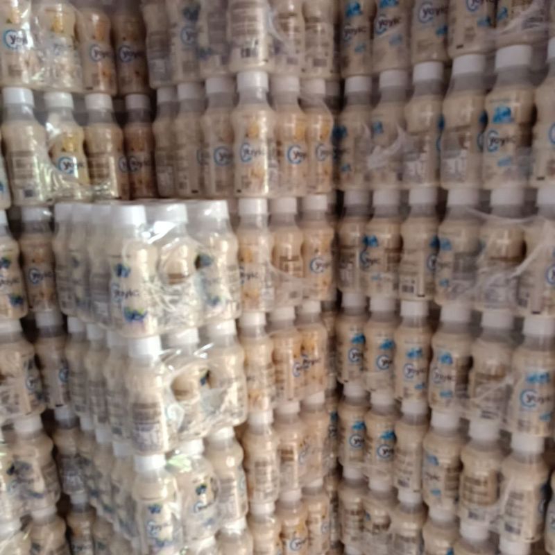 

Yoyic susu fermentasi