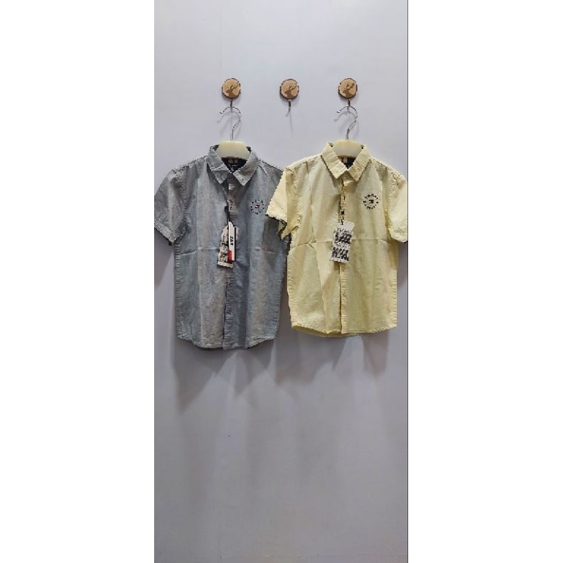 KEMEJA ANAK COWOK TOMMY HILFIGER  3 WARNA/ATASAN