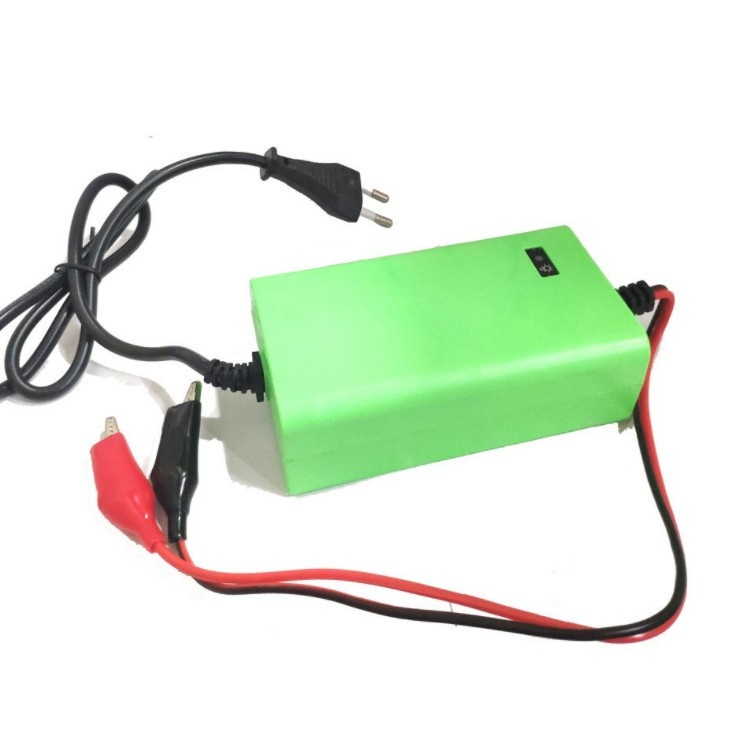 Cas Aki Mobil Mainan 6V 2A