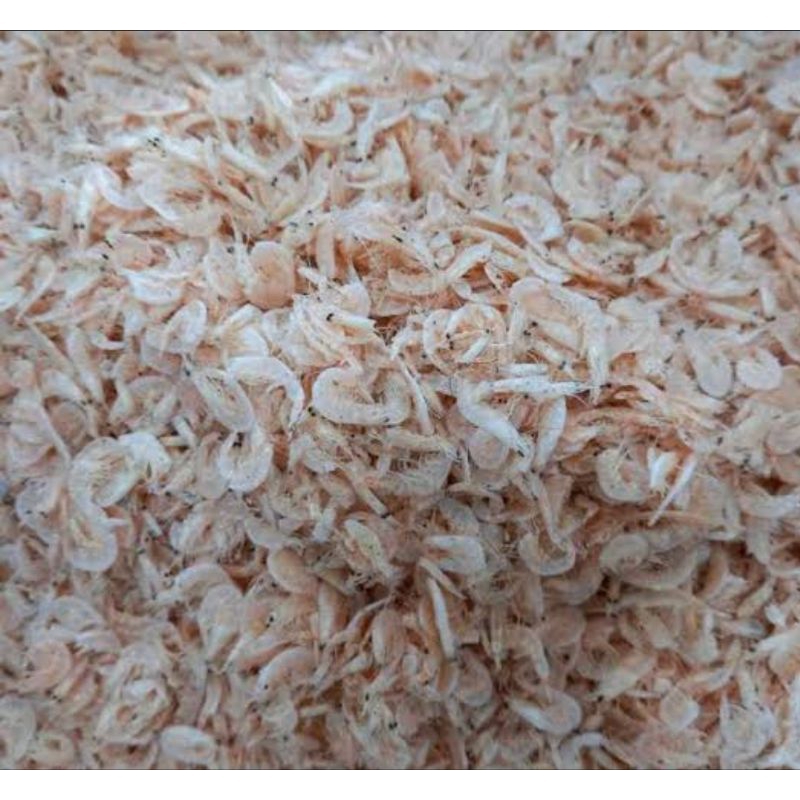 

ikan asin udang rebon 250 gr