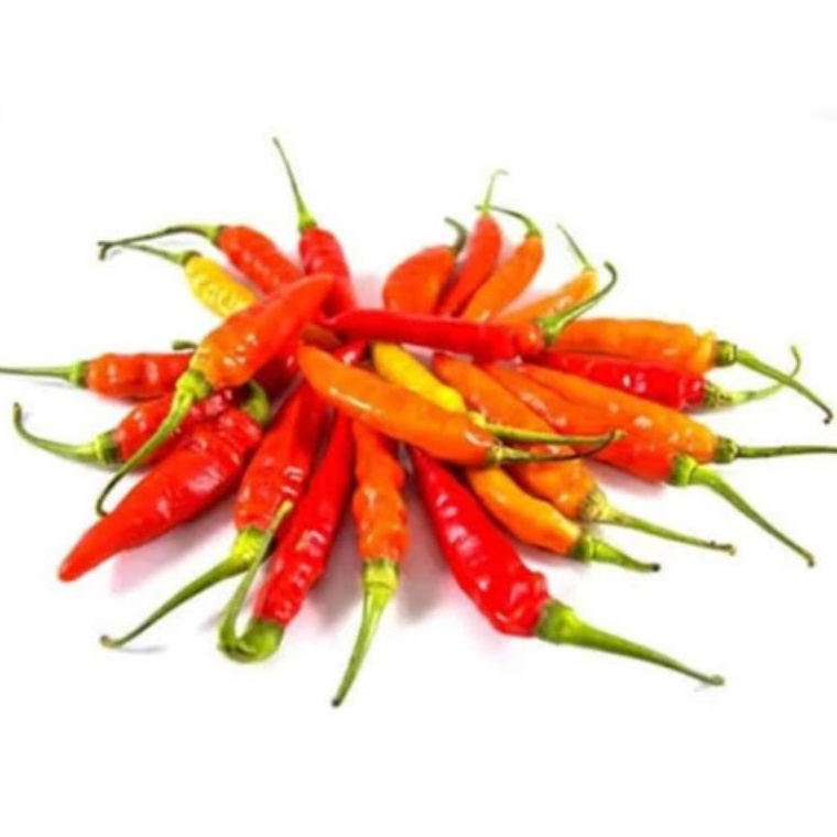

Dijual Murah Cabe Rawit Merah yevwu