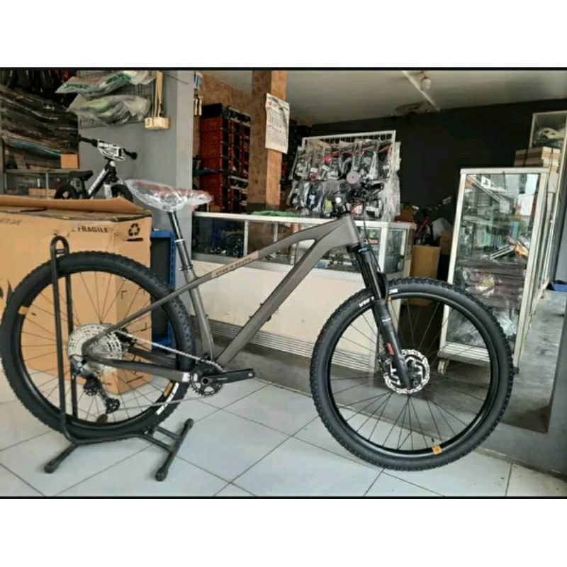 Terlaris Sepeda Mtb 29 Patrol C092 Carbon Boost - 12Sp Deore - Xfusion Rc32 Fork - Xc Trail