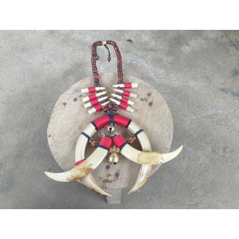 KALUNG TARING BABI ETNIK DAYAK KALIMANTAN