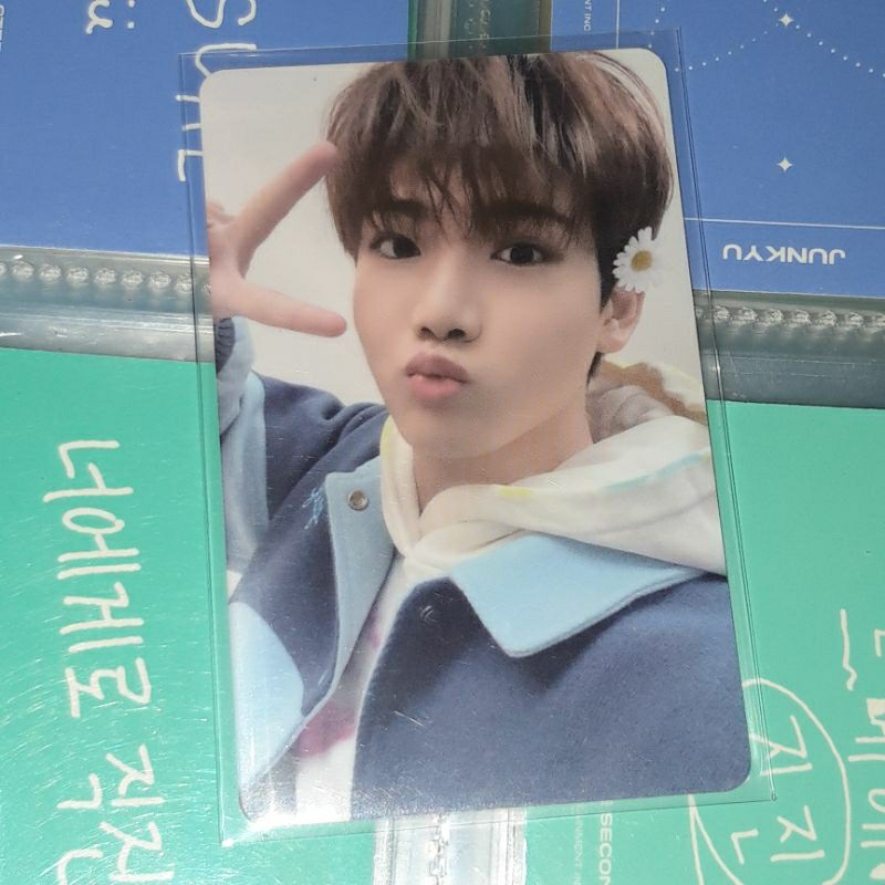 pc junkyu daisy ld the samee