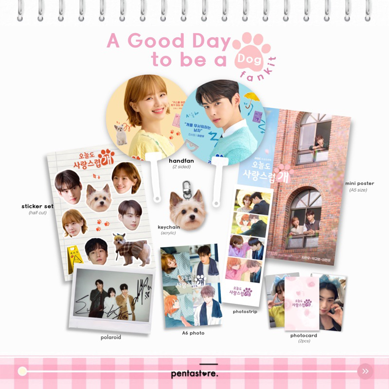 A Good Day to be a Dog Fankit ⋆ Cha Eunwoo Park Gyuyoung kdrama kit