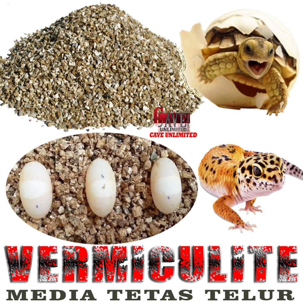 VERMICULITE REPTILE MEDIA TETAS TELUR PENETASAN TELOR LEOPARD GECKO KURA DARAT TORTOISE SULCATA PARD