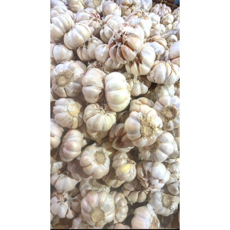 

Bawang putih dan bawang bombay