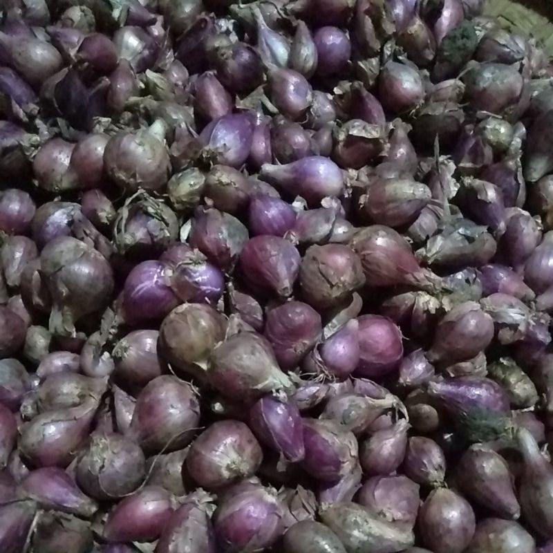 

BAWANG.MERAH.SUPER.1KG