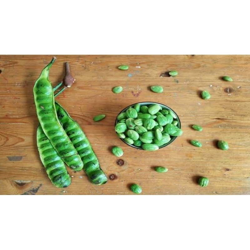 

pete 1 ikat 10 lembar