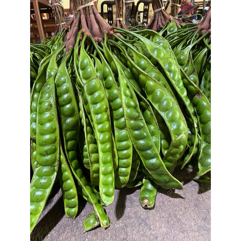 

pete sedeng 100 papan