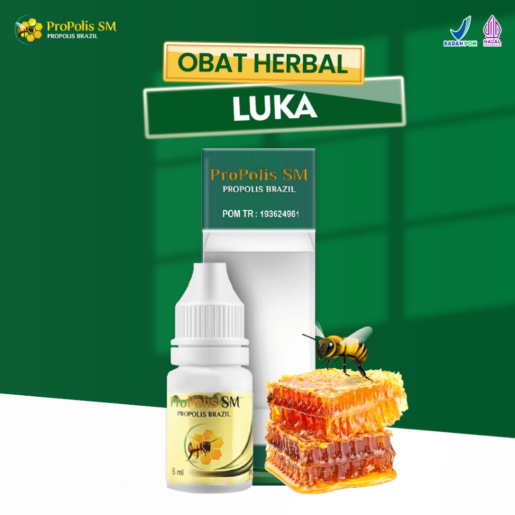 Propolis Sm Obat Luka Bernanah Dan Berair Untuk Luka Bakar Diabetes Borok Koreng Nanah Di Kulit