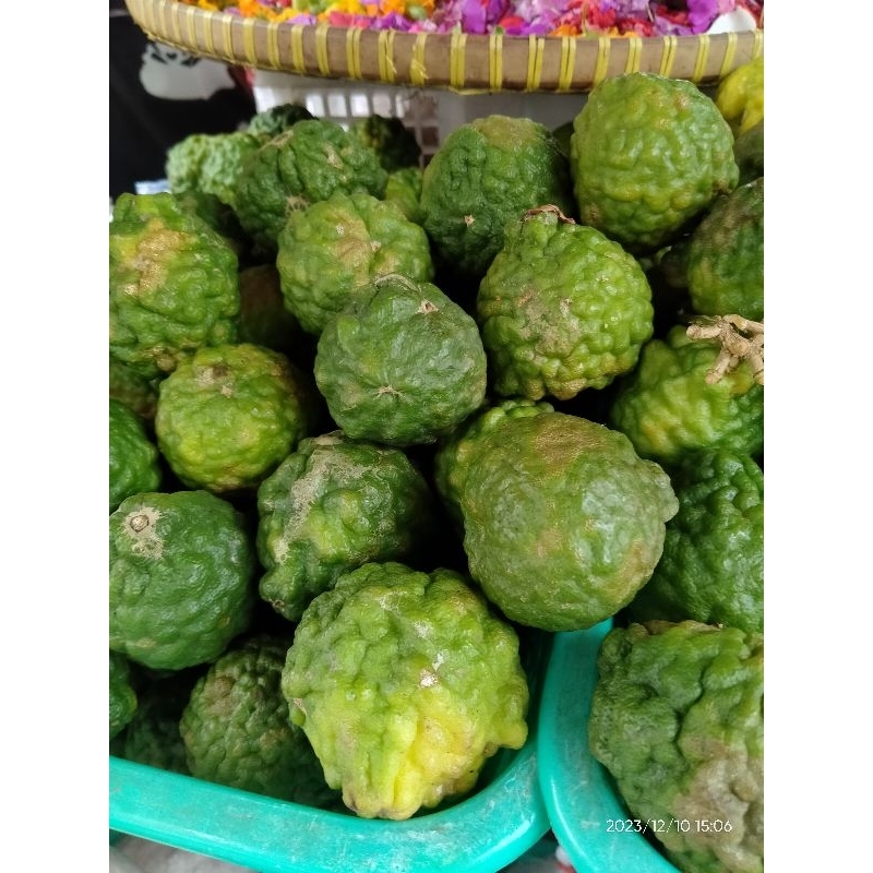 

Jeruk Purut Segar 1 pcs