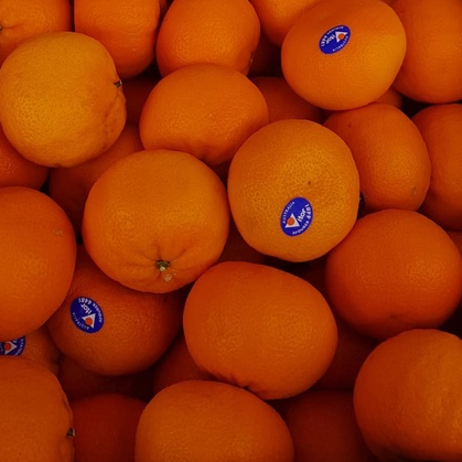 

HarvestMoon Jeruk Afourer Aussie per Dus