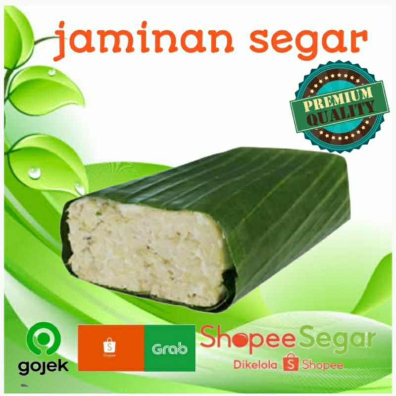 

tempe daun kotak