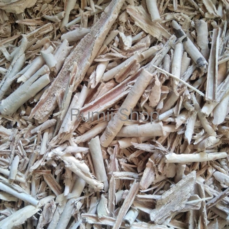 Pulosari kering / kulit kayu pulosari kering 1kg