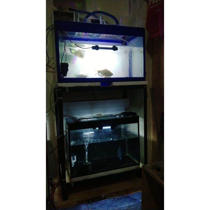 Rak Aquarium 60x40 2 susun