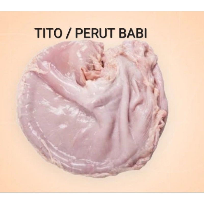 

TITO / PERUT BABI