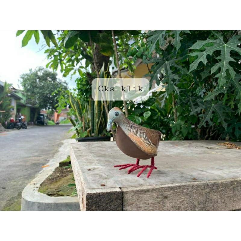 jontrot burung perkutut / mainan / hiasan