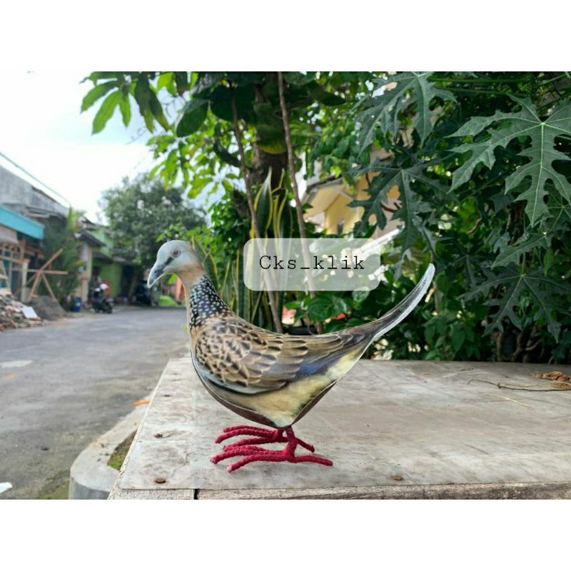 Jontrot Burung tekukur / mainan / patung burung tekukur