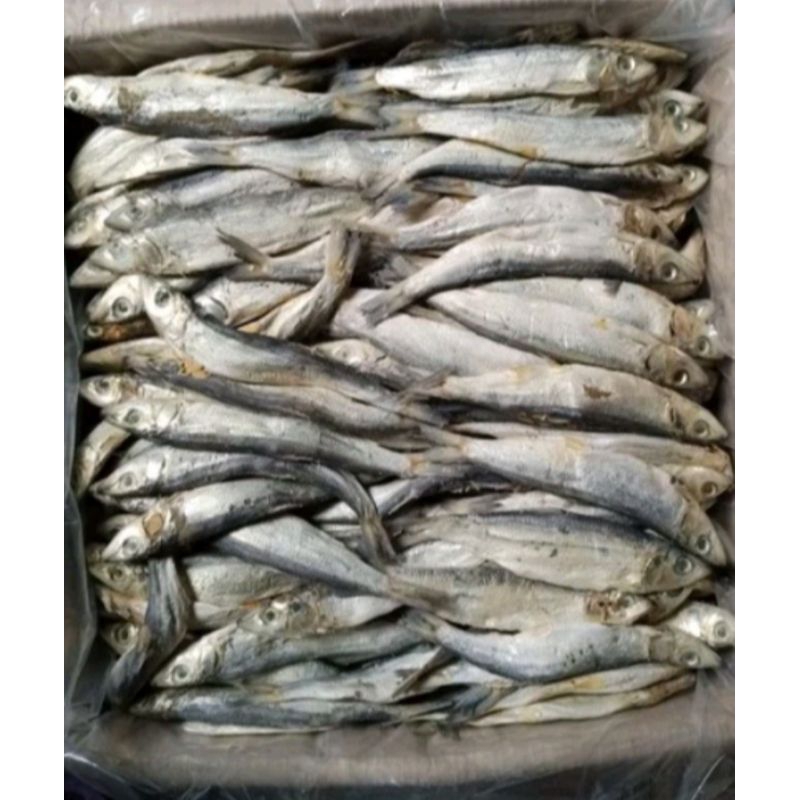 

ikan asin japuh pres 500g