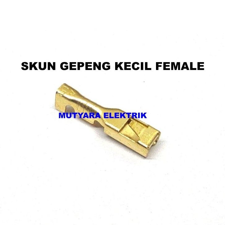 TERMINAL SKUN GEPENG KECIL CEWE/ SKUN MOTOR KECIL CEWE/ SKUN MINI FEMALE/ SKUN STP KECIL GEPENG FEMA