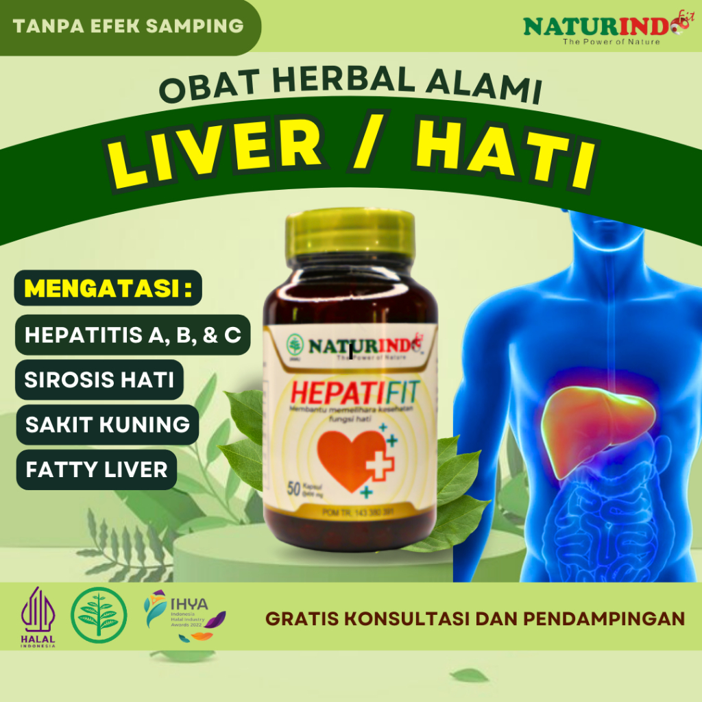 Obat Liver Paling Ampuh Obat Liver Perut Bengkak Obat Liver Herbal Hepatifit
