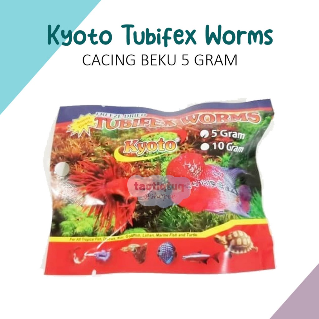 Kyoto Cacing Sutra Kering Tubifex Worms 5gr Cacing Beku Makanan Ikan Cacing Kering Pakan Ikan
