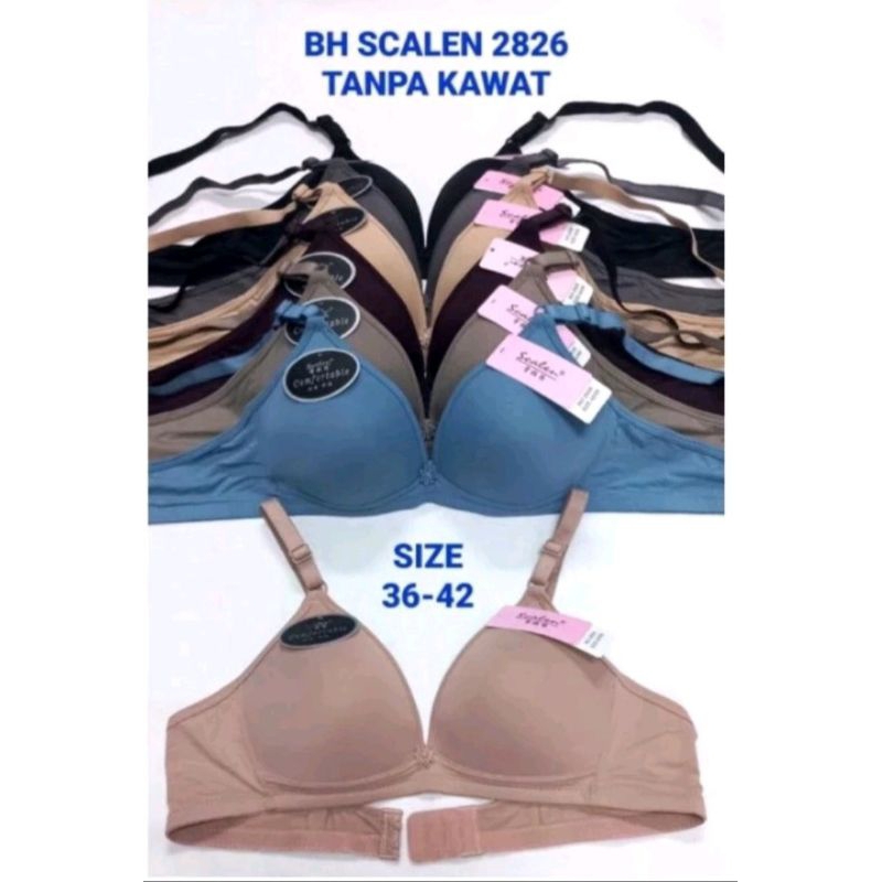 Bra/Bh Scalen 2826||Bra/Bh Scalen Cup Besar 2826 Tanpa Kawat Busa Tipis Kait 2