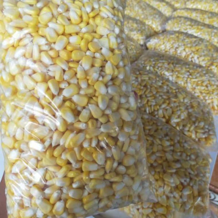 

R33ady jagung pipil manis 1 kg Ready Stock