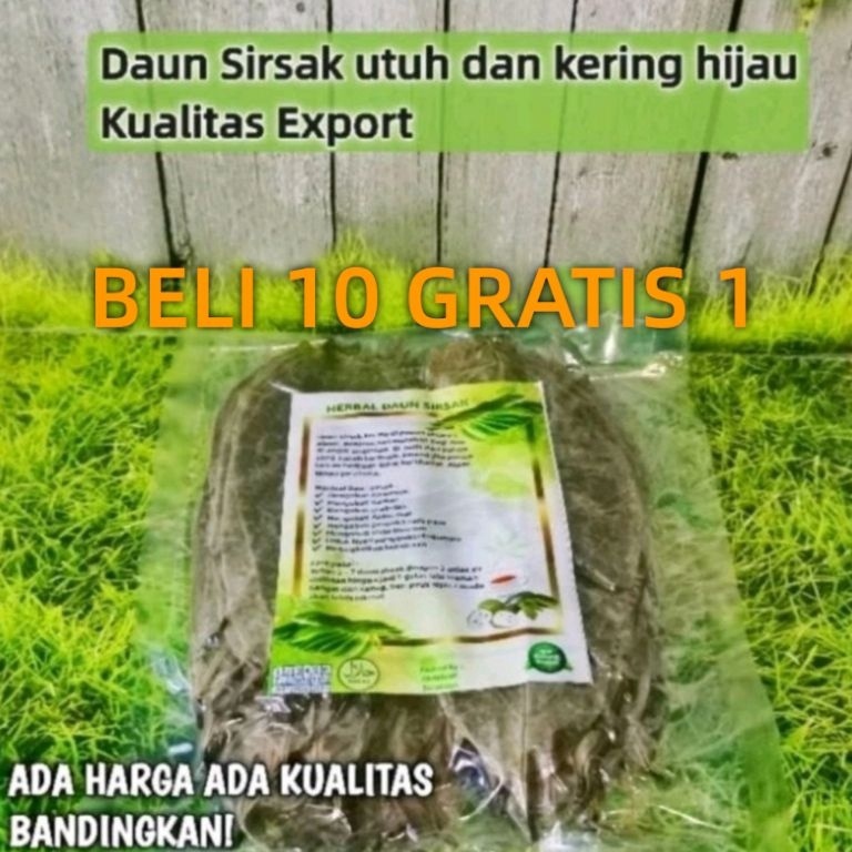 

Sup33r Pr0mo Daun Sirsak Kering ( Barang kualitas Export Bisa COD ) [250]