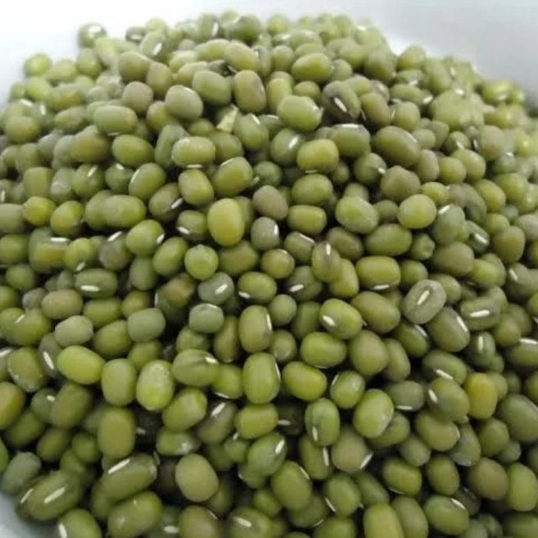 

[☯E11(] kacang ijo Australia - kacang ijo lokal bubur 1 kg kualitas super [278]