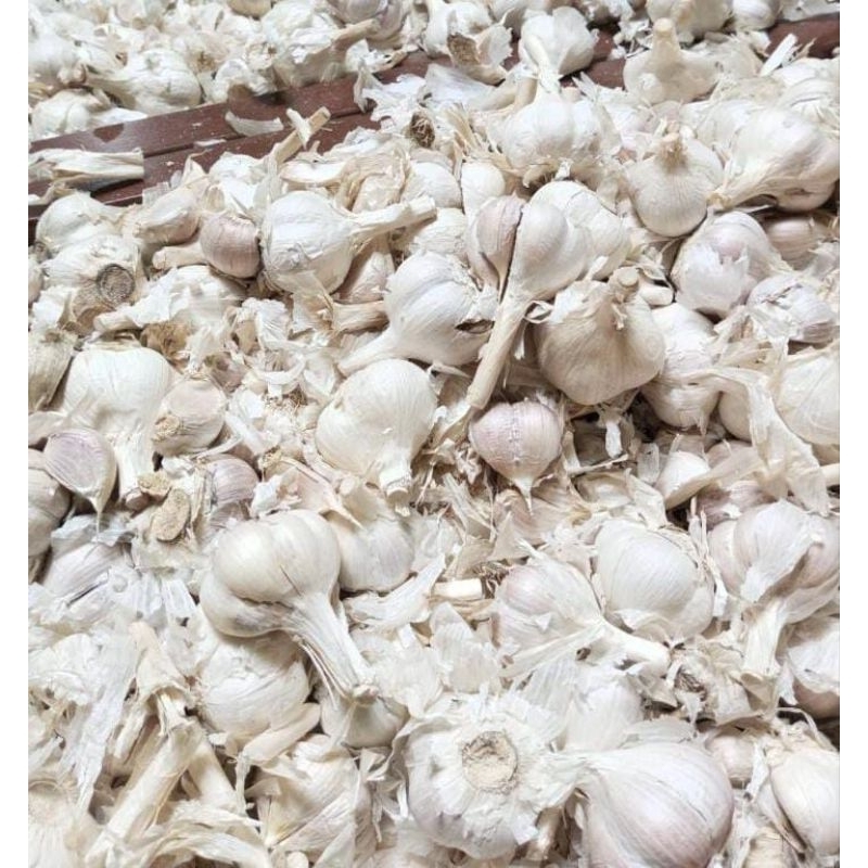 

Bawang Putih 1 kg