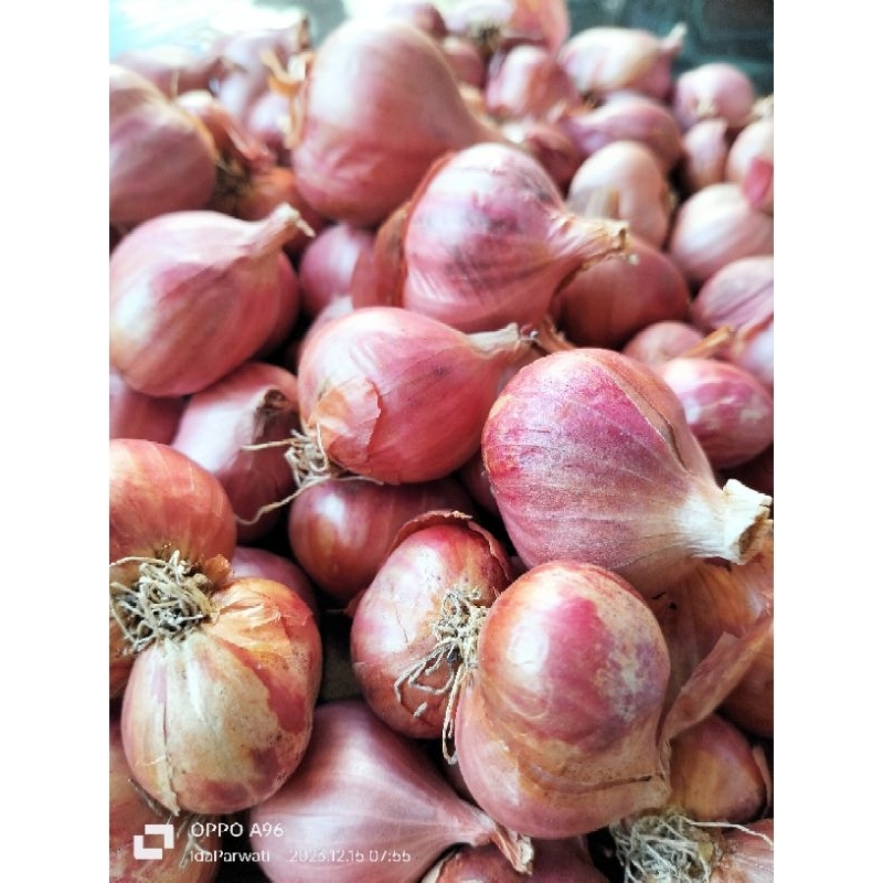 

Bawang Merah Berkualitas 1kg